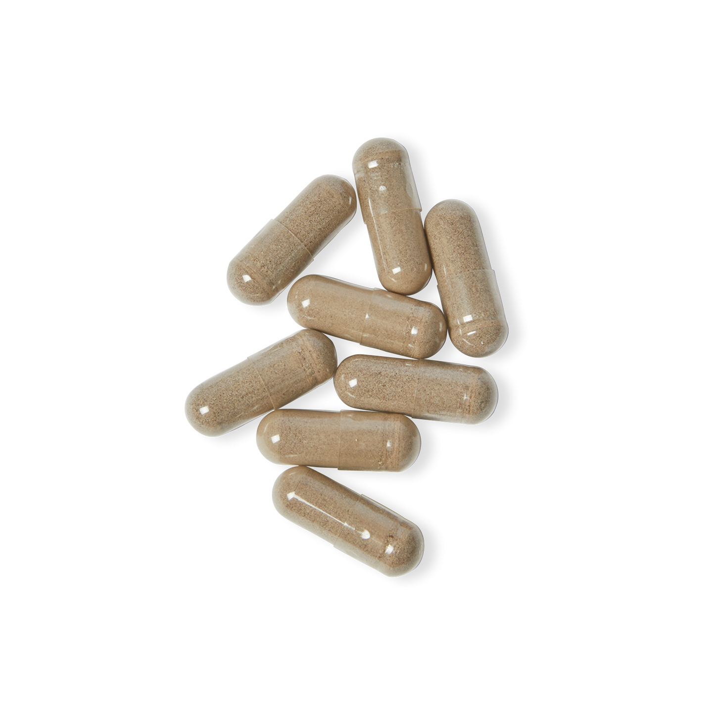 LIVELEO9 Daily Organic Sea Moss 100% | Hommes | Femmes |